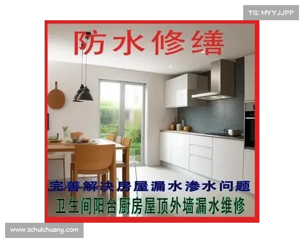 重建家园实用步骤与全面指南帮助您重建温馨与安全的生活空间 重建家园实用步骤与全面指南帮助您重建温馨与安全的生活空间